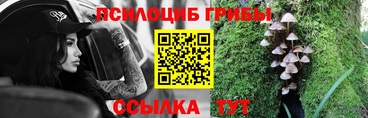 Анжеро-Судженск  Псилоцибиновые грибы ЛСД  Вход с VPN 