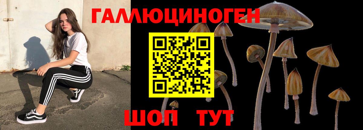 Псилоцибиновые грибы прущие грибы Анжеро-Судженск