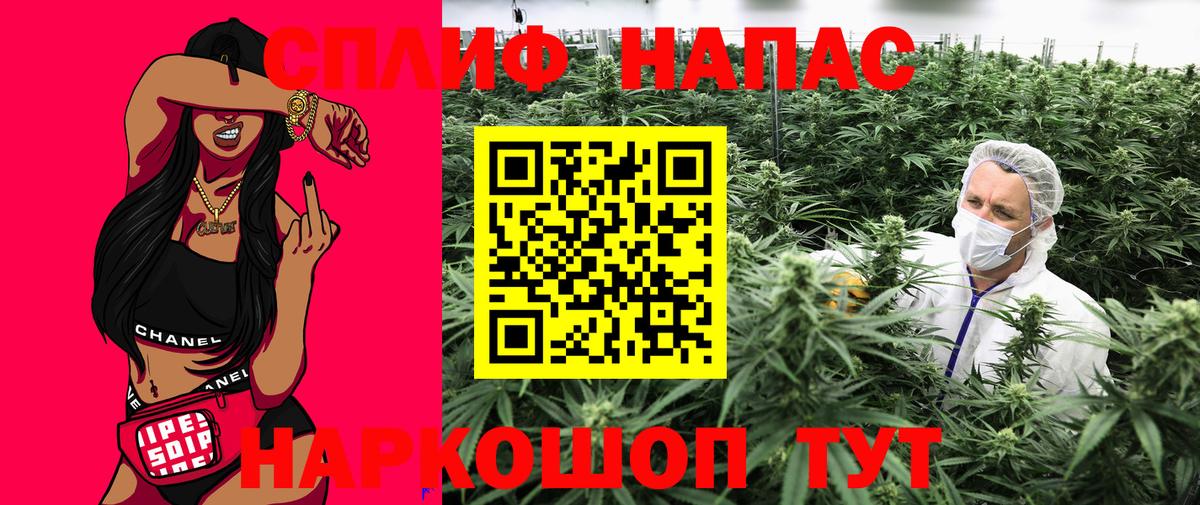 Канабис сатива  Каннабис White Widow  Бошки марихуана индика  Вход с VPN  Анжеро-Судженск  Бошки Шишки Amnesia 